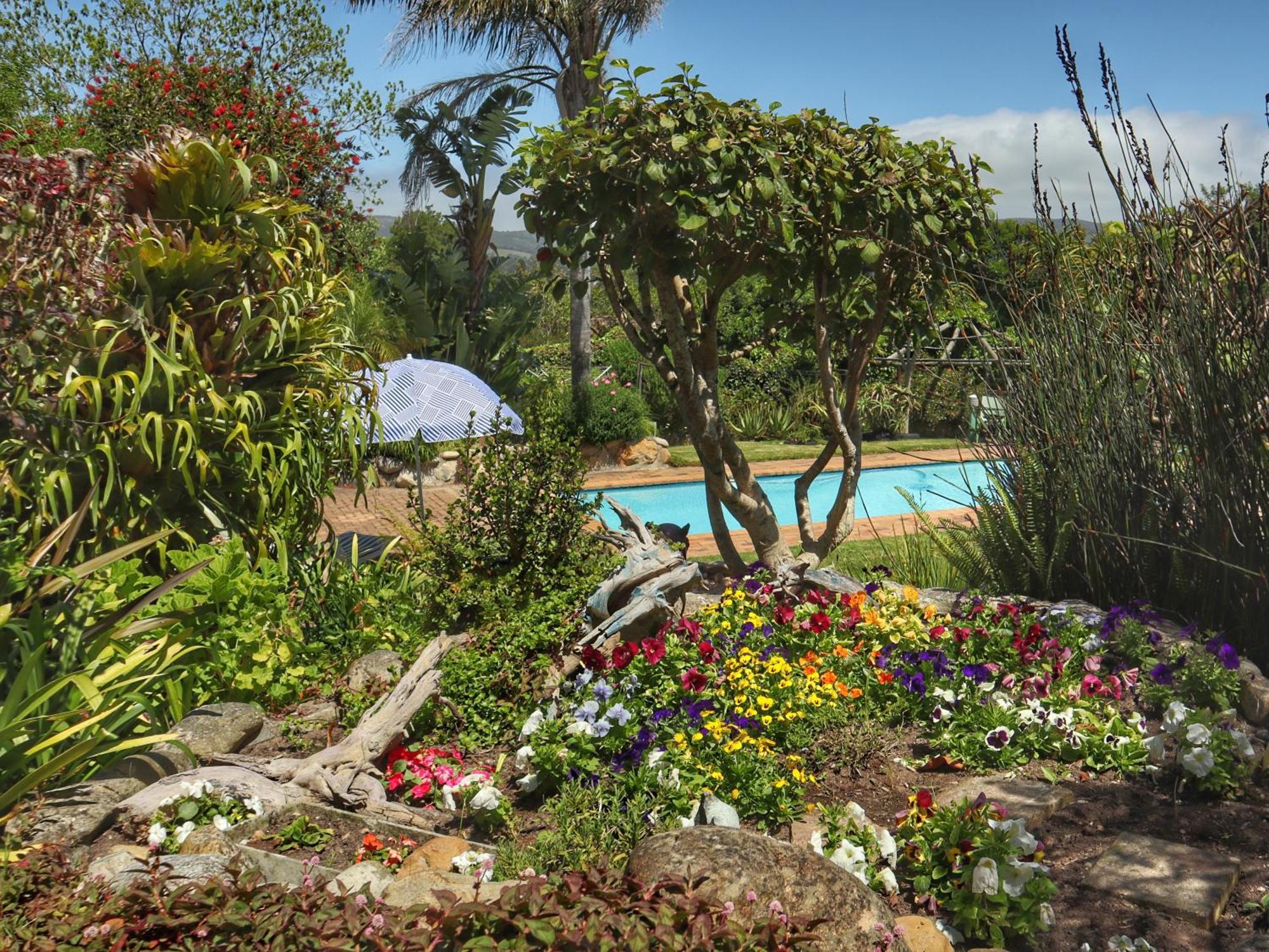 Footprints Of Knysna Apartment Luaran gambar